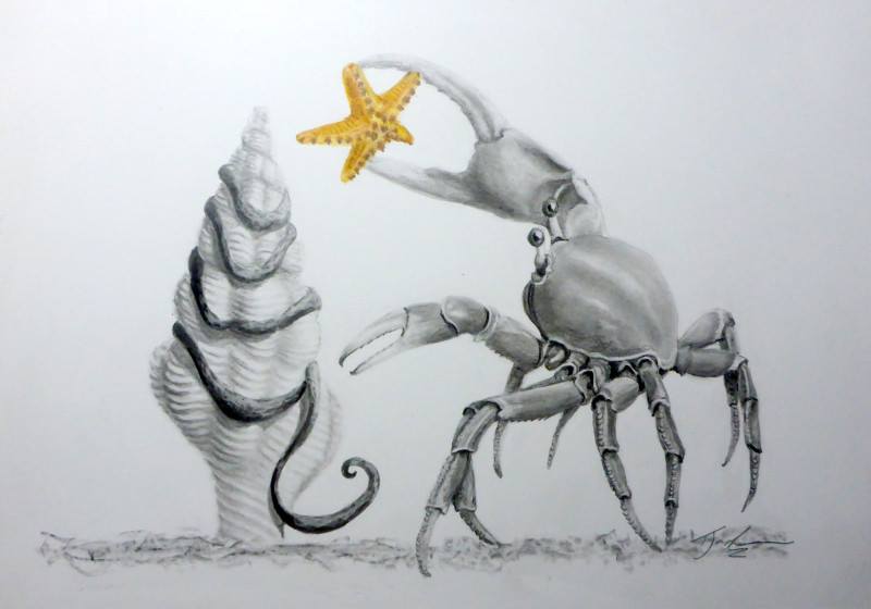 A Very Crabby Christmas by Terry Jackson.  Part of the 'Whimsy' collection