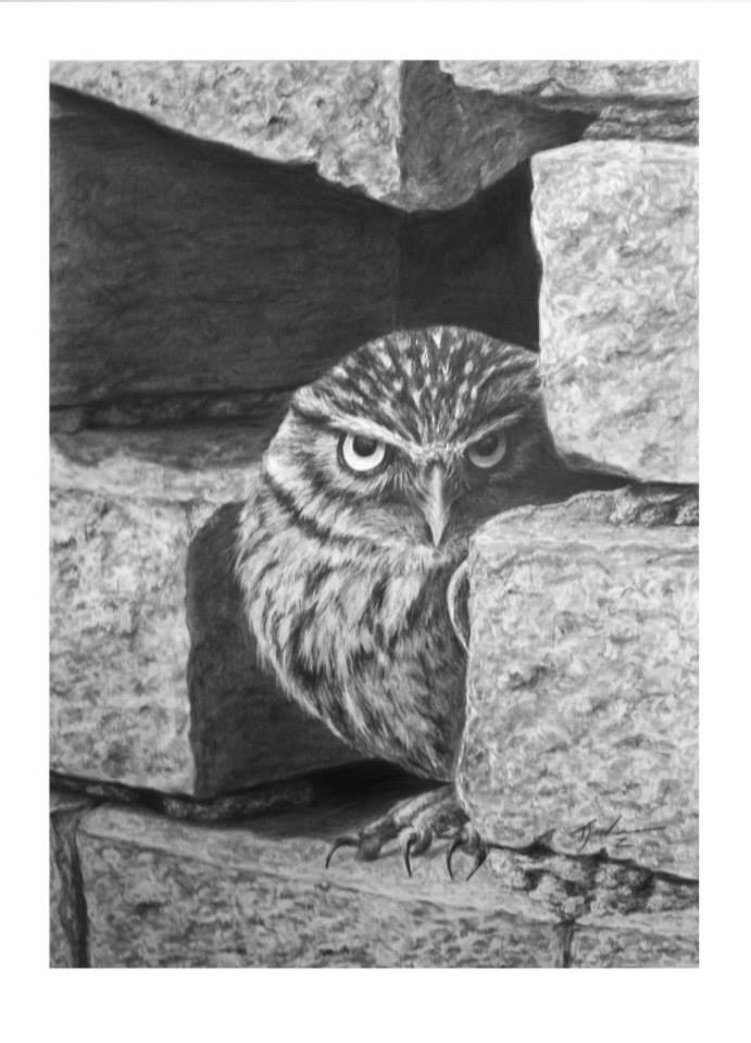 Graphite painting of an owl in a hole in the wall