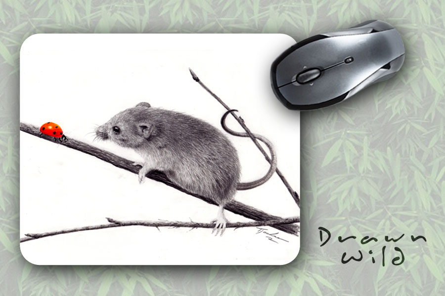 ladybirds-before-gentlemice-mouse-mat2.jpg