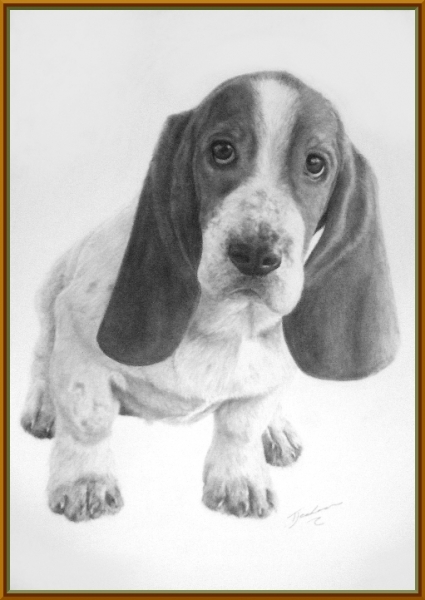 bassetsmallerframed