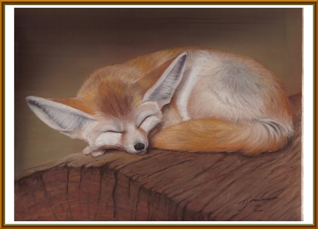 fennecfox 600x600 framed